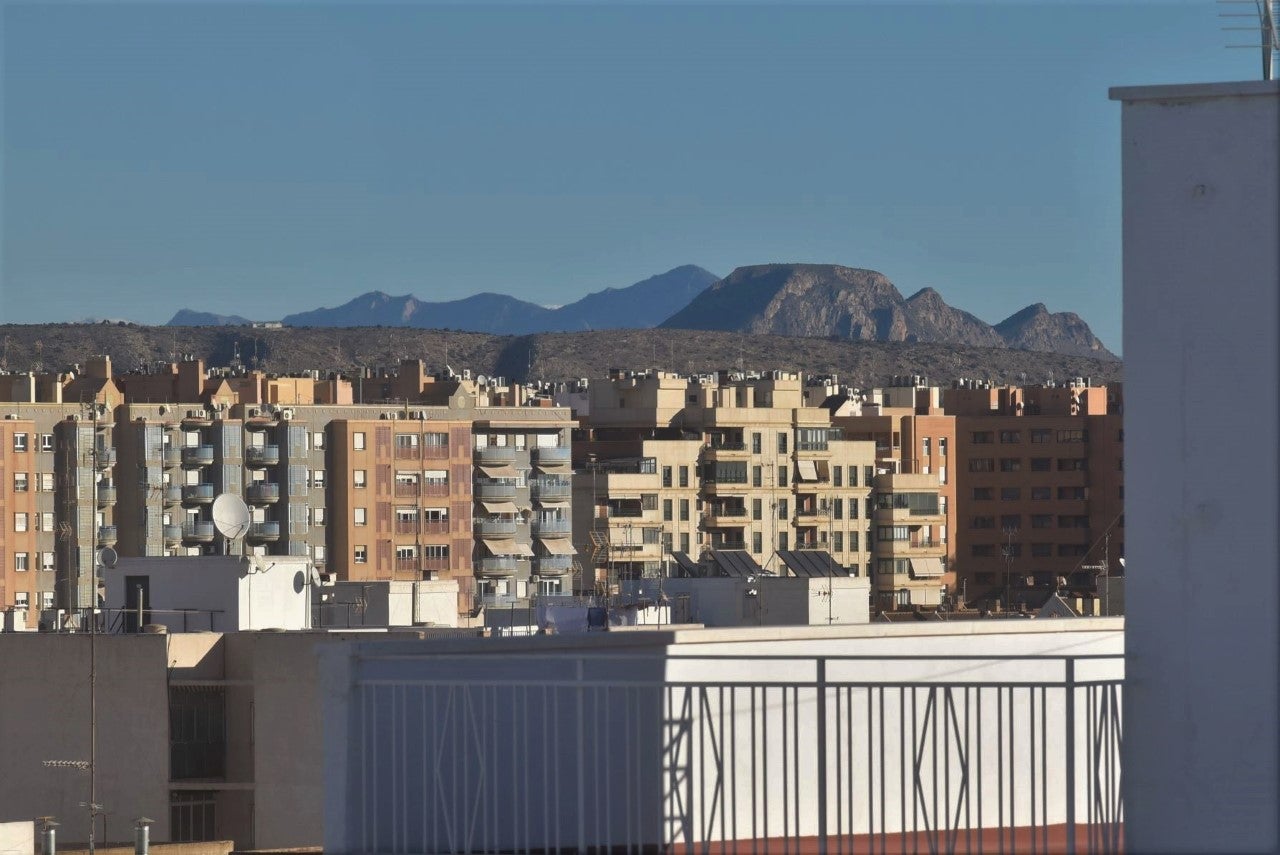 Elche abre este miércoles el plazo de solicitud de las ayudas al pago del IBI Elche abre este miércoles el plazo de solicitud de las ayudas al pago del IBI