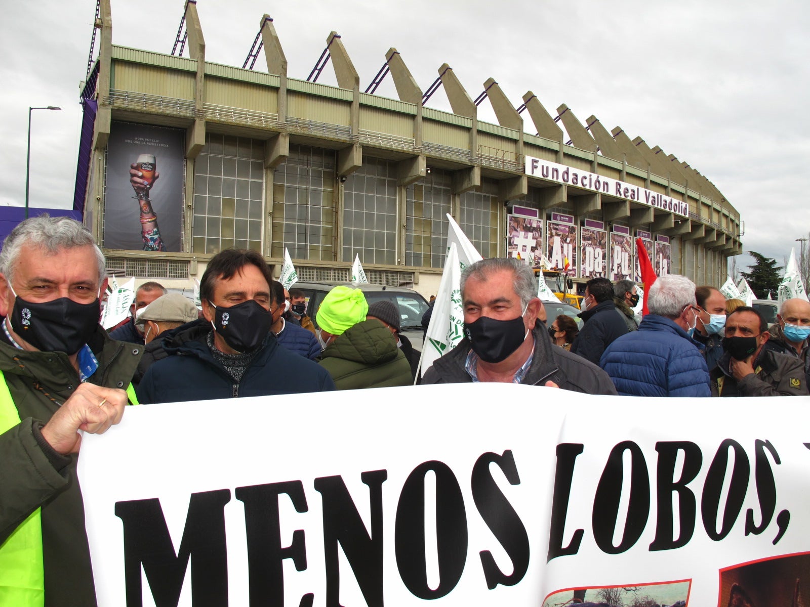 Los ganaderos exigen que se retire la protección del lobo Los ganaderos exigen que se retire la protección del lobo