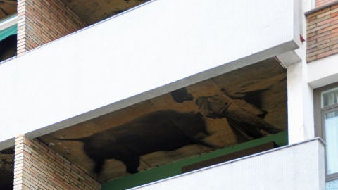 CASA TOROS BARCELONA