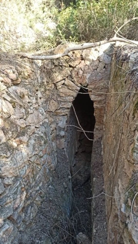 Sa Fontassa de Santa Gerturdis