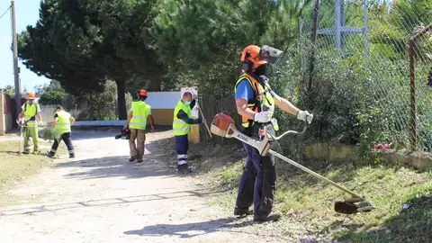 Medio Ambiente refuerza las labores de limpieza y mantenimiento del diseminado Medio Ambiente refuerza las labores de limpieza y mantenimiento del diseminado