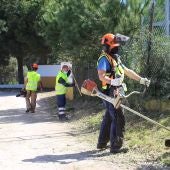 Medio Ambiente refuerza las labores de limpieza y mantenimiento del diseminado