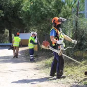 Medio Ambiente refuerza las labores de limpieza y mantenimiento del diseminado Medio Ambiente refuerza las labores de limpieza y mantenimiento del diseminado