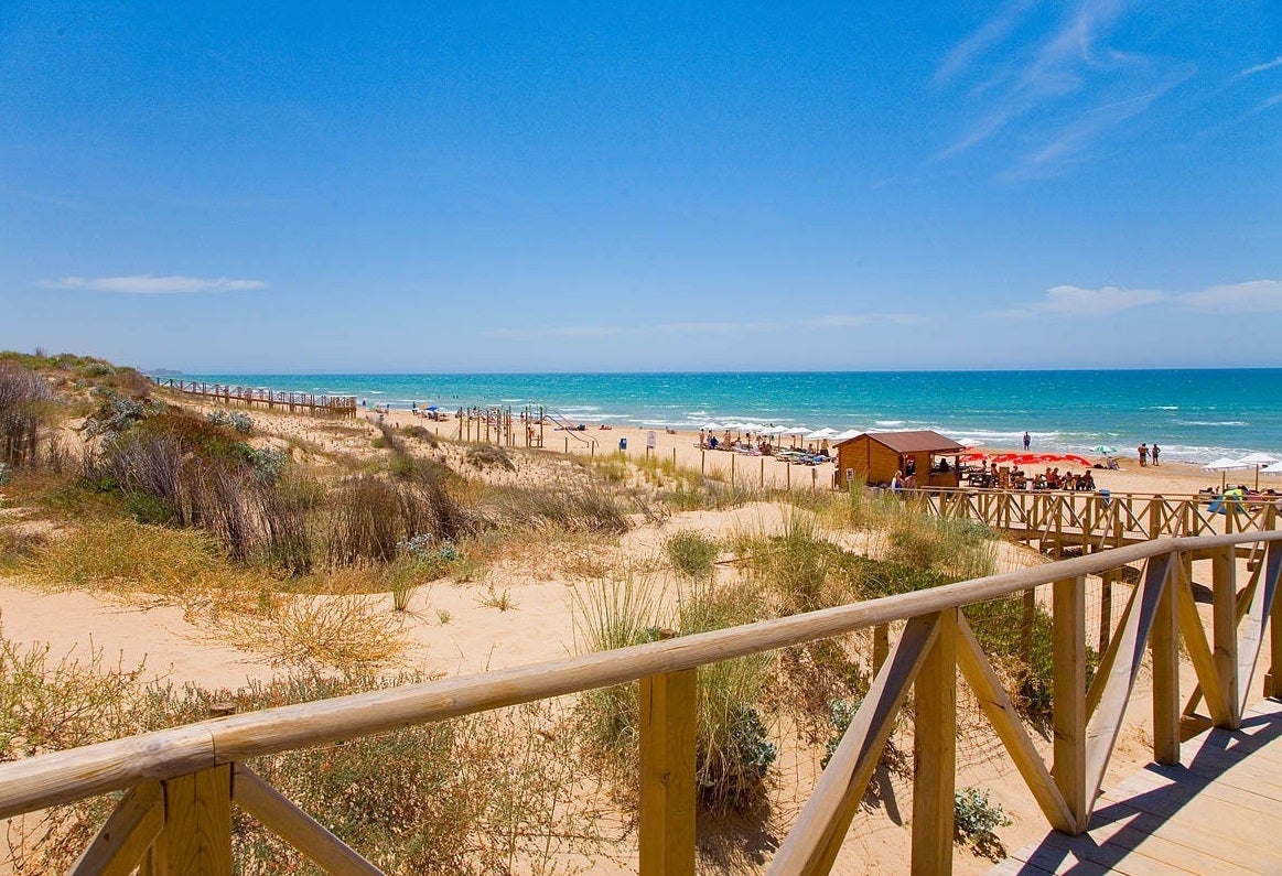 José Luis Sáez, Alcalde de Guardamar, debemos procurar que esta recuperación nos dure hasta después del verano José Luis Sáez, Alcalde de Guardamar, debemos procurar que esta recuperación nos dure hasta después del verano