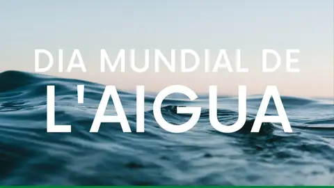 Dia Mundial de l'Aigua Dia Mundial de l'Aigua