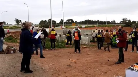 Antiautopistas reclaman un plan de reforestación equivalente a la superficie ocupada por la autopista Llucmajor-Campos Antiautopistas reclaman un plan de reforestación equivalente a la superficie ocupada por la autopista Llucmajor-Campos