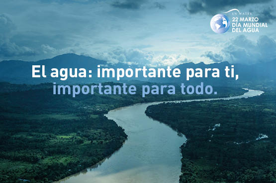 Consejos y Curiosidades sobre el Agua Consejos y Curiosidades sobre el Agua