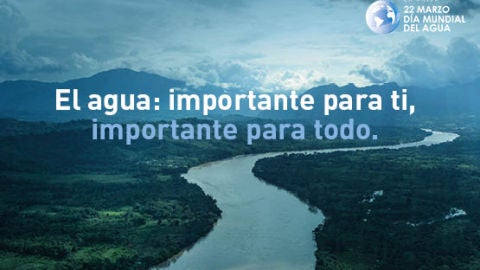 D&iacute;a Mundial del Agua
