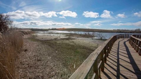 Las Tablas de Daimiel Las Tablas de Daimiel