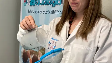 Día Mundial del Agua Día Mundial del Agua