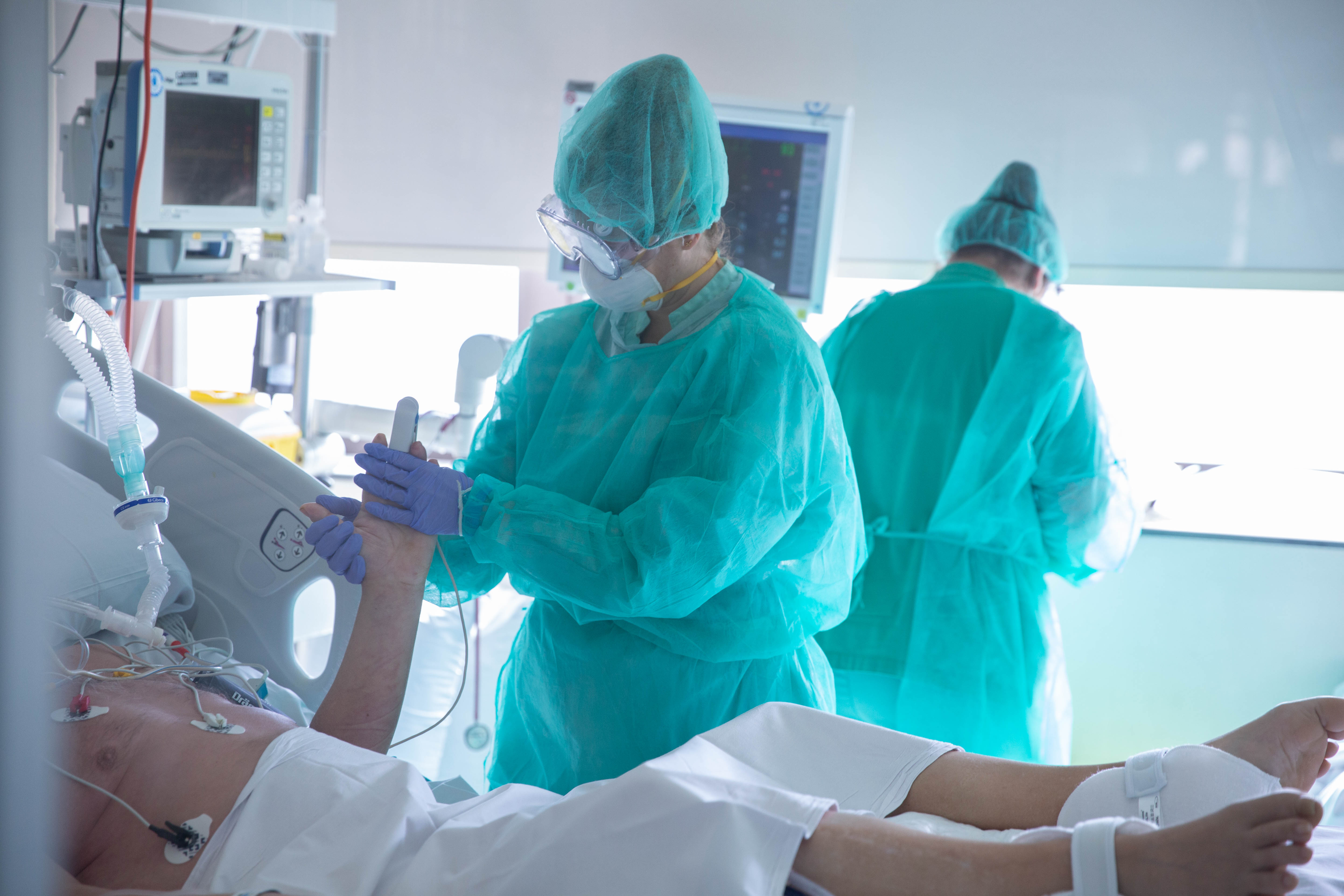 Los proyectos asociados a Ribera permiten la creación de becas de investigación por valor de 60.000 euros Los proyectos asociados a Ribera permiten la creación de becas de investigación por valor de 60.000 euros