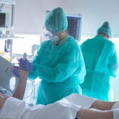 Los proyectos asociados a Ribera permiten la creación de becas de investigación por valor de 60.000 euros 