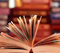 La Feria del Libro 2021, cuya celebración estaba prevista desde el próximo sábado 27 de marzo y hasta el 5 de abril en el Paseo Vista Alegre, queda cancelada debido a la situación sanitaria provocada por la Covid-19  libro