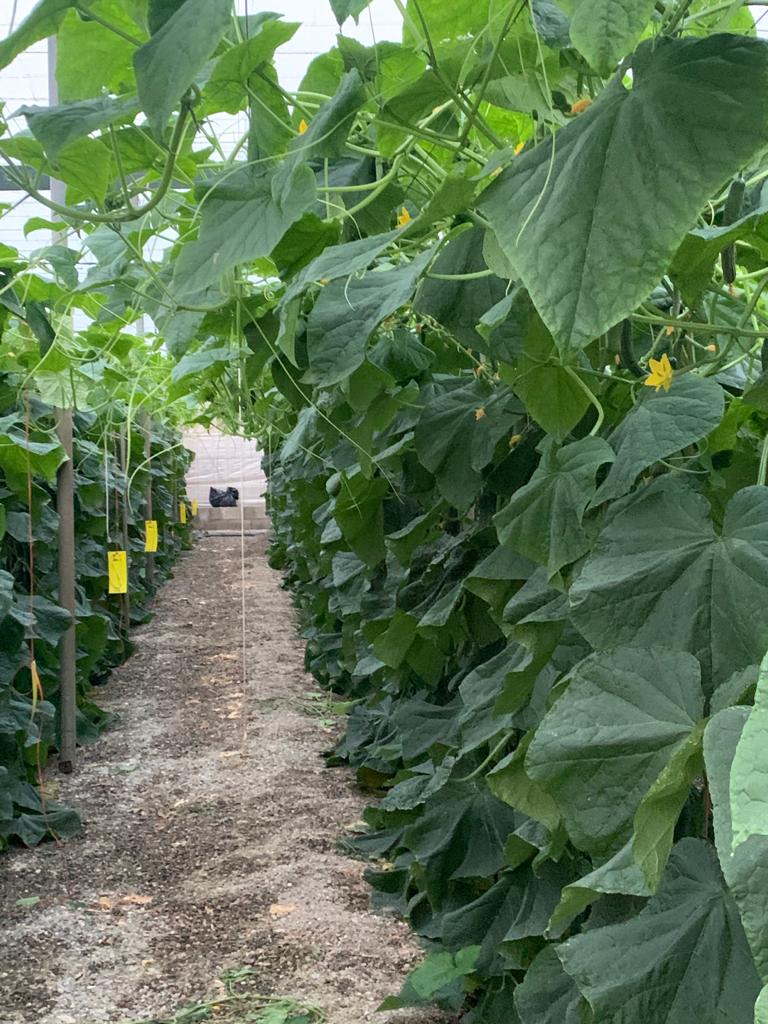 Elisa Puertas: "Seguiremos llevando nuestras reivindicaciones a quien nos quiera escuchar." Elisa Puertas: "Seguiremos llevando nuestras reivindicaciones a quien nos quiera escuchar."