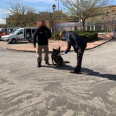 La Policía Local de Albacete podría contar con una unidad canina en la capital