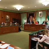 Pleno Marbella Pleno Marbella