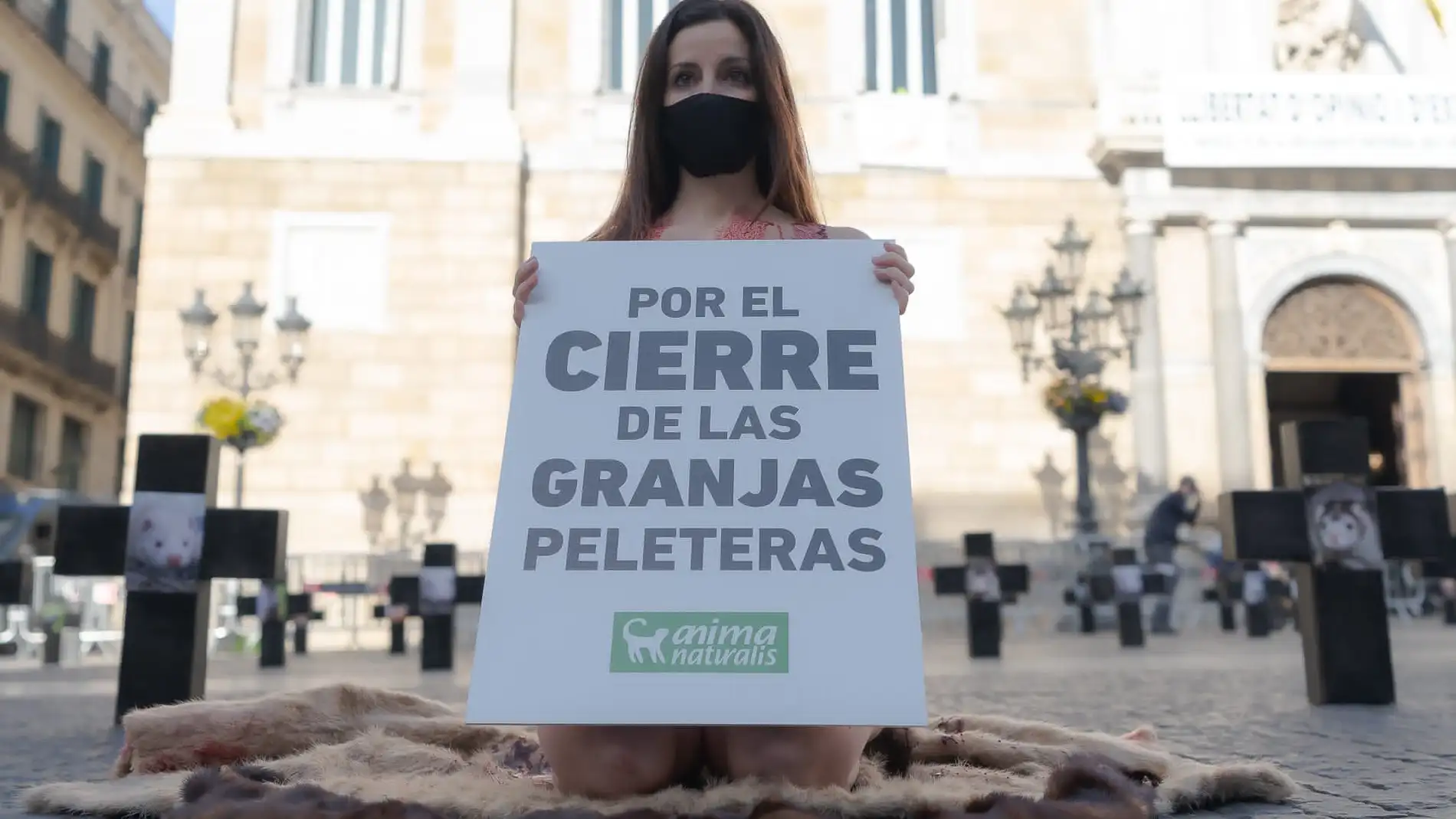 Protesta Animalista