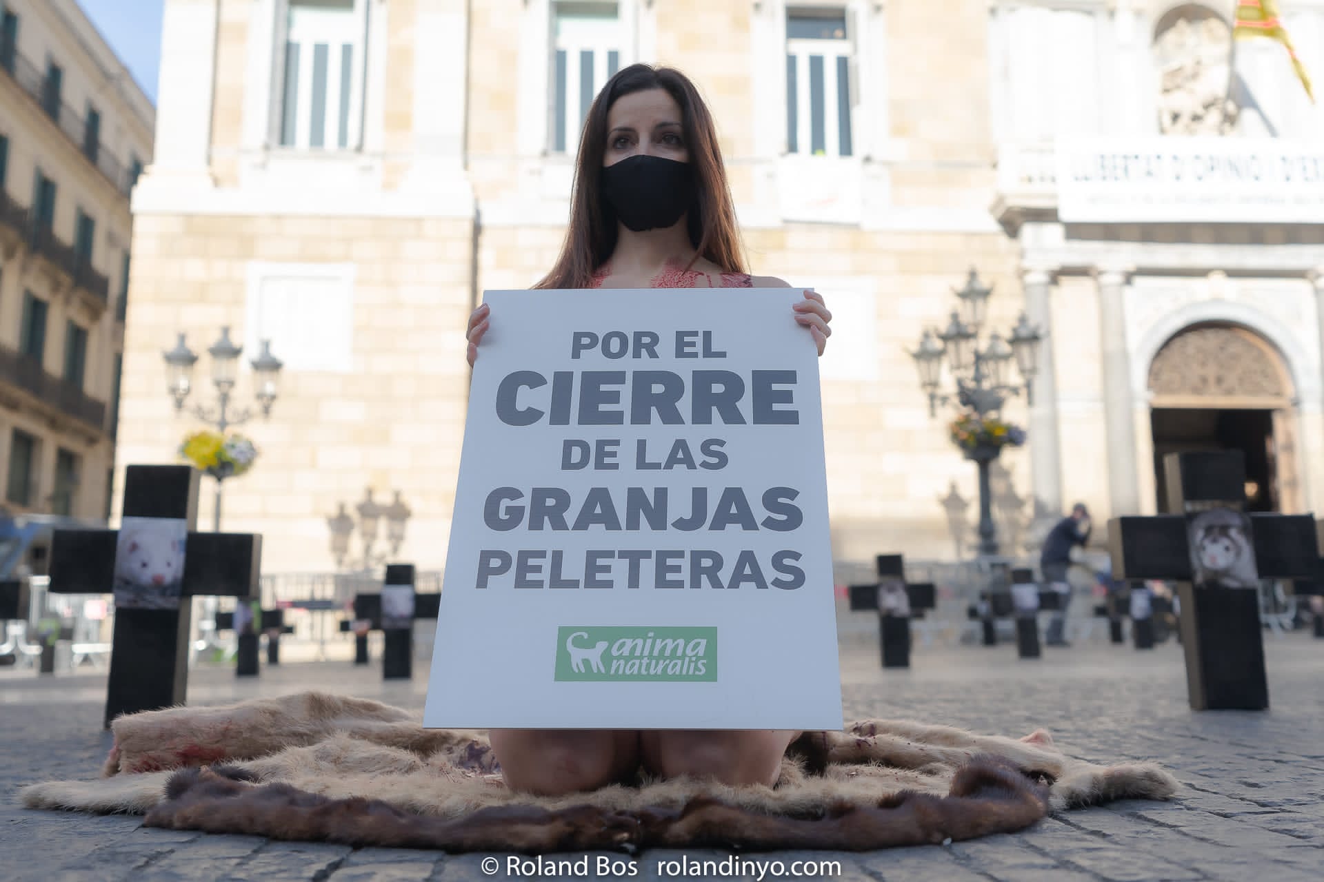 Anima Naturalis protesta en Alicante contra la industria peletera y las granjas de visones afectadas por casos de coronavirus Anima Naturalis protesta en Alicante contra la industria peletera y las granjas de visones afectadas por casos de coronavirus