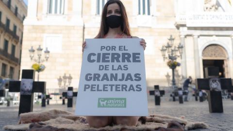 Protesta Alicante Protesta Alicante
