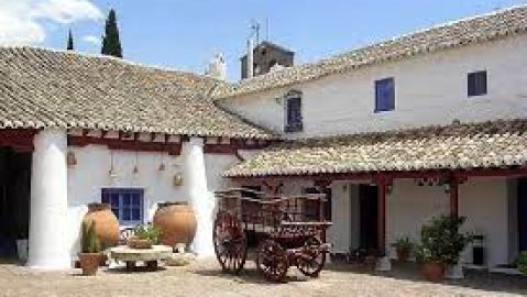 El turismo rural de Ciudad Real tendr&aacute; una importante ocupaci&oacute;n en Semana Santa