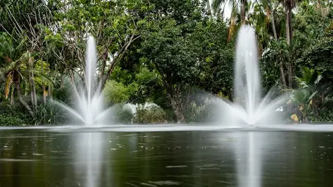 Fuente de la eterna juventur La cápsula del tiempo