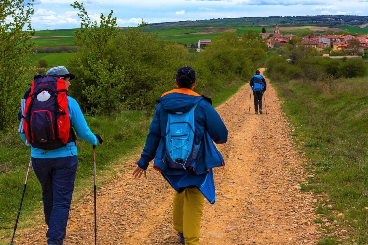 La Asociación de Municipios del Camino y la Fundación Santa María la Real se alían para desarrollar proyectos estratégicos en torno al Camino La Asociación de Municipios del Camino y la Fundación Santa María la Real se alían para desarrollar proyectos estratégicos en torno al Camino