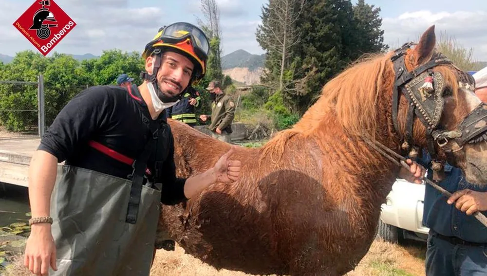 Momento en el que el caballo es rescatado sano y salvo 