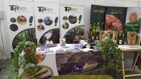 Promoción turística de Tineo Promoción turística de Tineo
