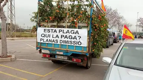 Agricultores de Castellón piden en el Senado soluciones al cotonet Las protestas en el resto de España