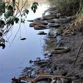 Vertidos de neumáticos en el río Guadiana