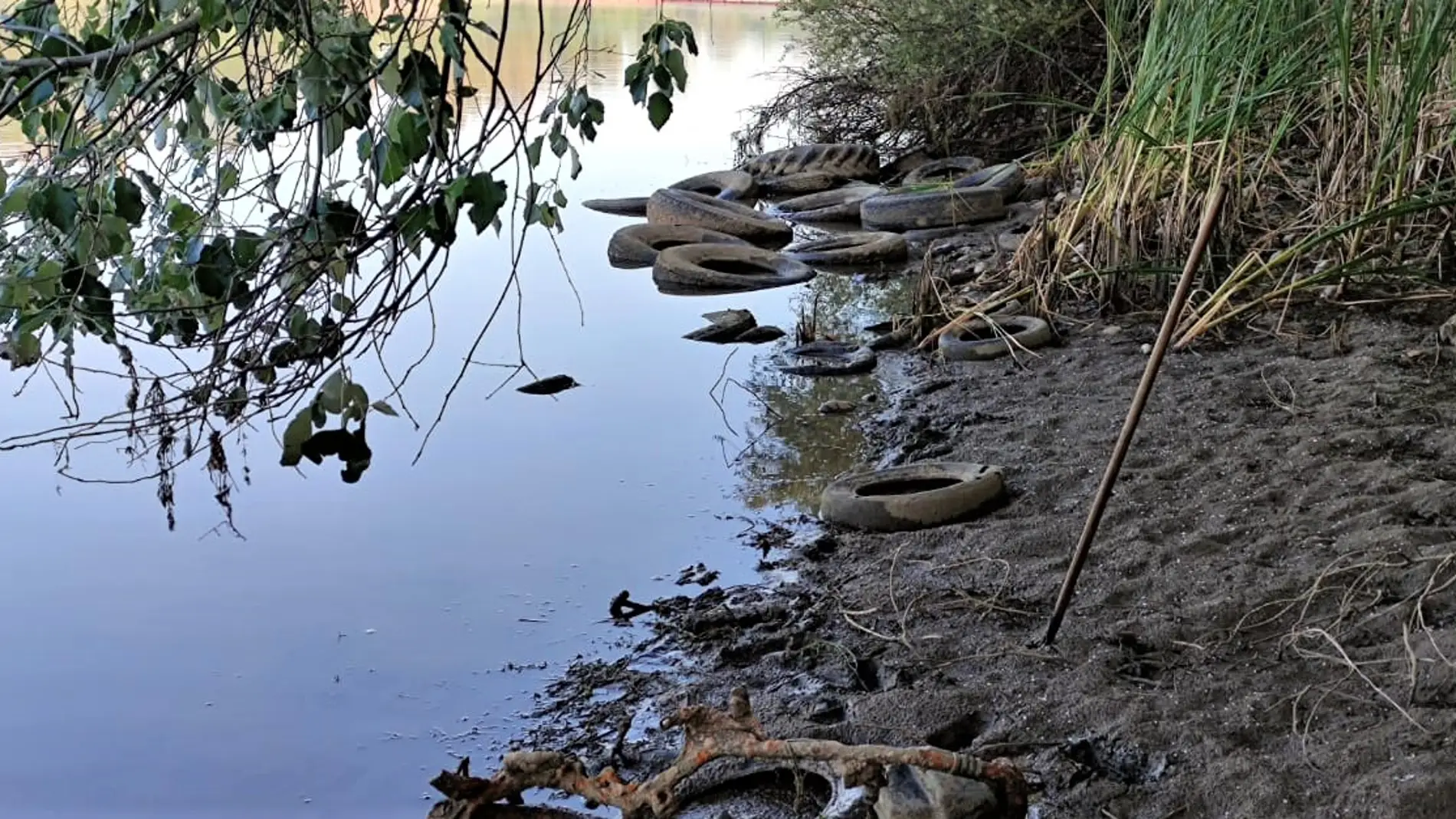 Vertidos de neumáticos en el río Guadiana