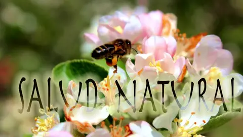 Salud Natural Salud Natural