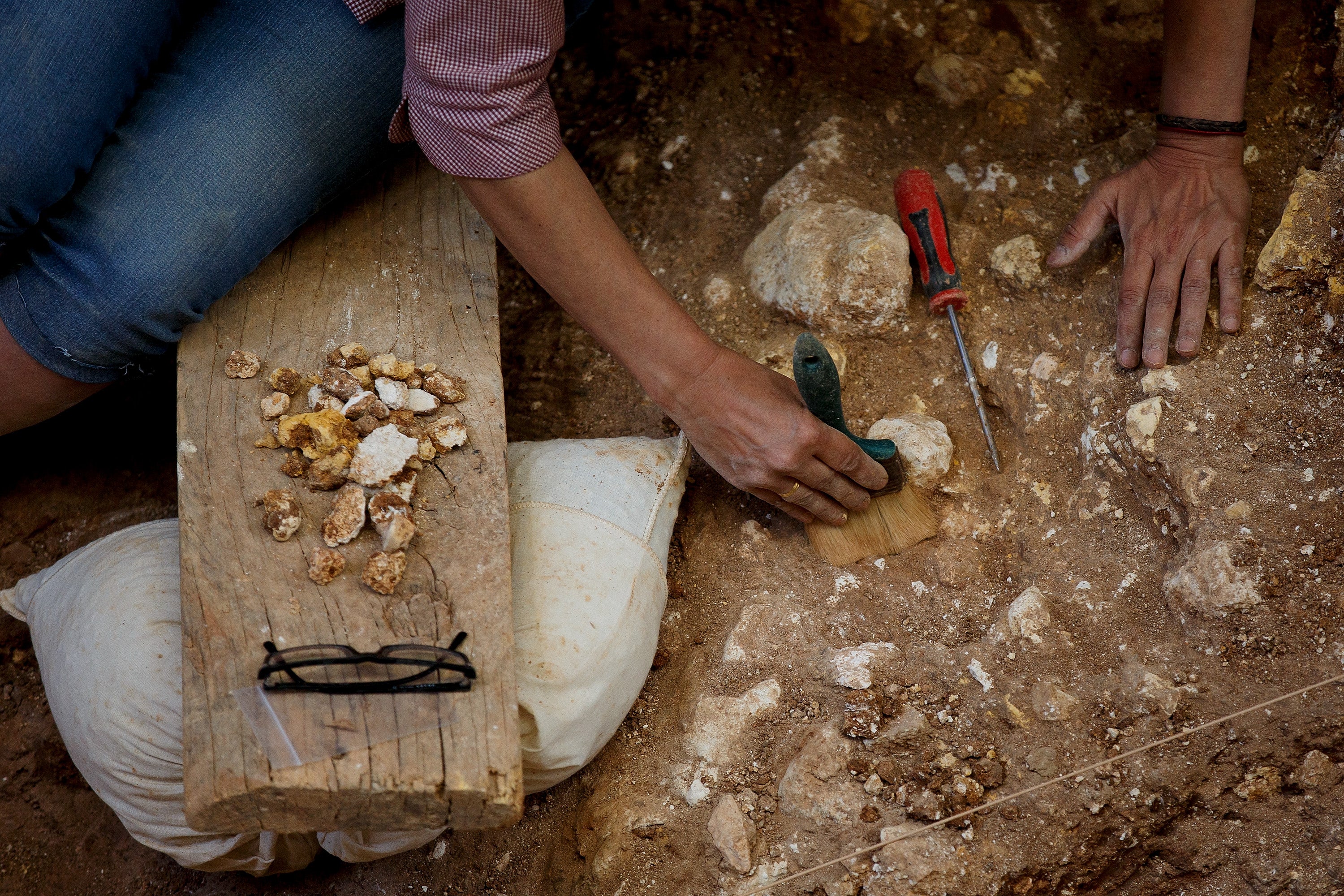 Bermúdez de Castro, paleoantropólogo: "Nuestras manos son herramientas de altísima precisión" Bermúdez de Castro, paleoantropólogo: "Nuestras manos son herramientas de altísima precisión"
