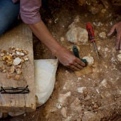 Excavaciones en Atapuerca