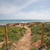 La actuación se enmarca en las labores de conservación de la biodiversidad local, especialmente ligada a zonas litorales colindantes a playas galardonadas con Bandera Azul La actuación se enmarca en las labores de conservación de la biodiversidad local, especialmente ligada a zonas litorales colindantes a playas galardonadas con Bandera Azul