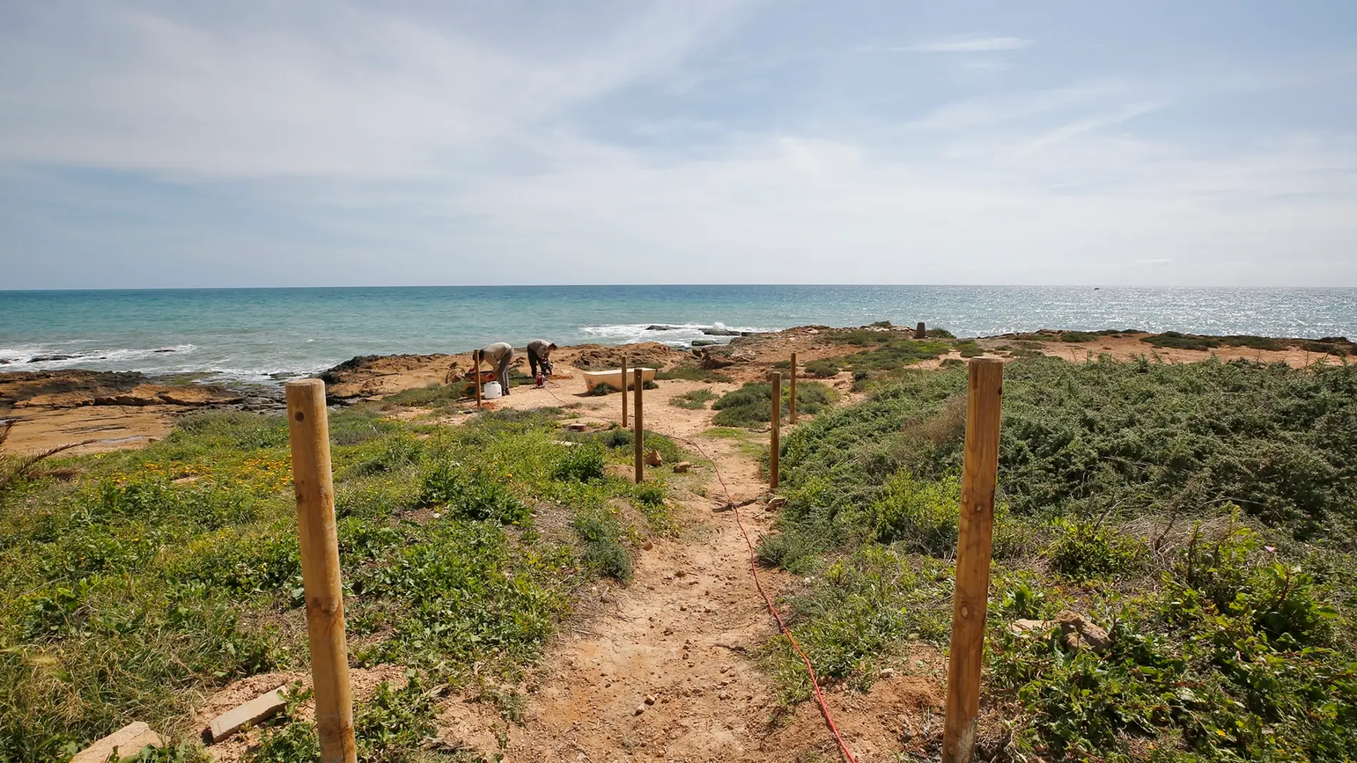 La actuación se enmarca en las labores de conservación de la biodiversidad local, especialmente ligada a zonas litorales colindantes a playas galardonadas con Bandera Azul 