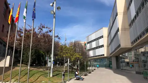 Ayuntamiento de Sant Vicent del Raspeig Ayuntamiento de Sant Vicent del Raspeig
