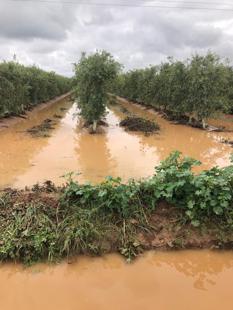 Nuevo desbordamiento en Arroyo de San Serván Nuevo desbordamiento en Arroyo de San Serván