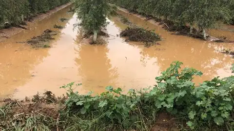 Nuevo desbordamiento en Arroyo de San Serván Nuevo desbordamiento en Arroyo de San Serván