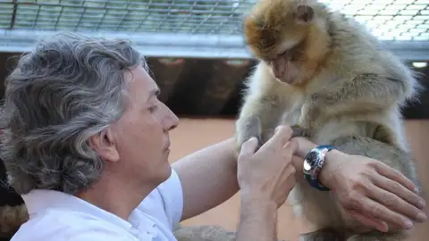 Primate Primate