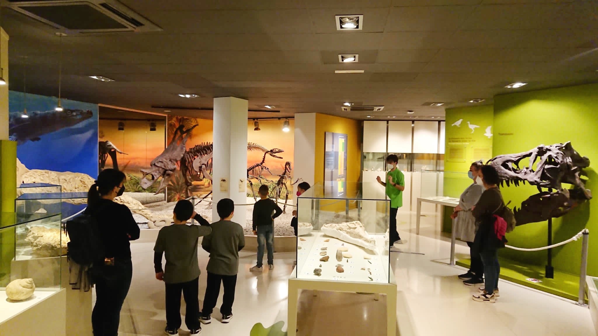 Las visitas al Museo Paleontológico de Elche han aumentado un 28% esta Semana Santa Las visitas al Museo Paleontológico de Elche han aumentado un 28% esta Semana Santa