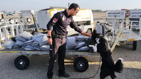 Carlos y Murphy de la Unidad Especial de Guías Caninos de Sevilla Carlos y Murphy de la Unidad Especial de Guías Caninos de Sevilla