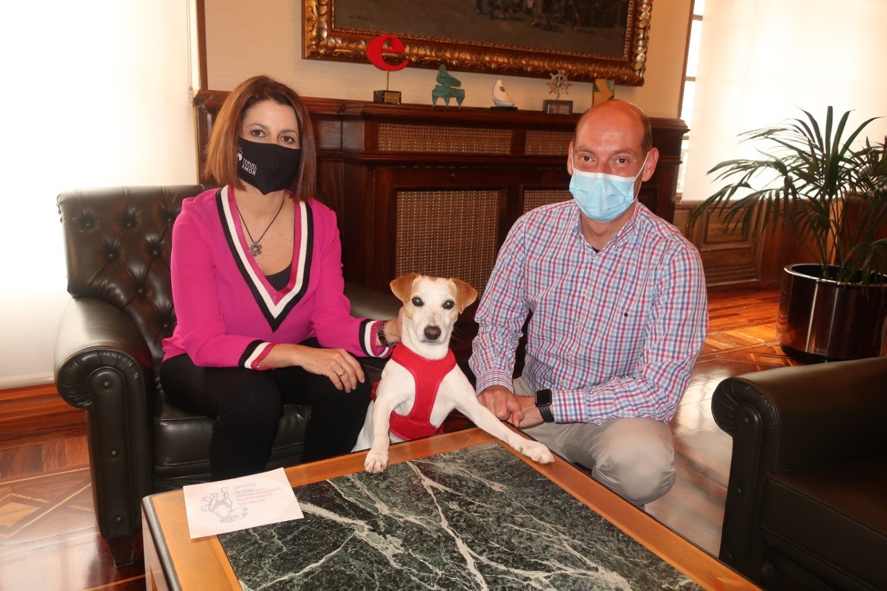 Pipper, el popular perro “influencer”, visita Teruel Pipper, el popular perro “influencer”, visita Teruel