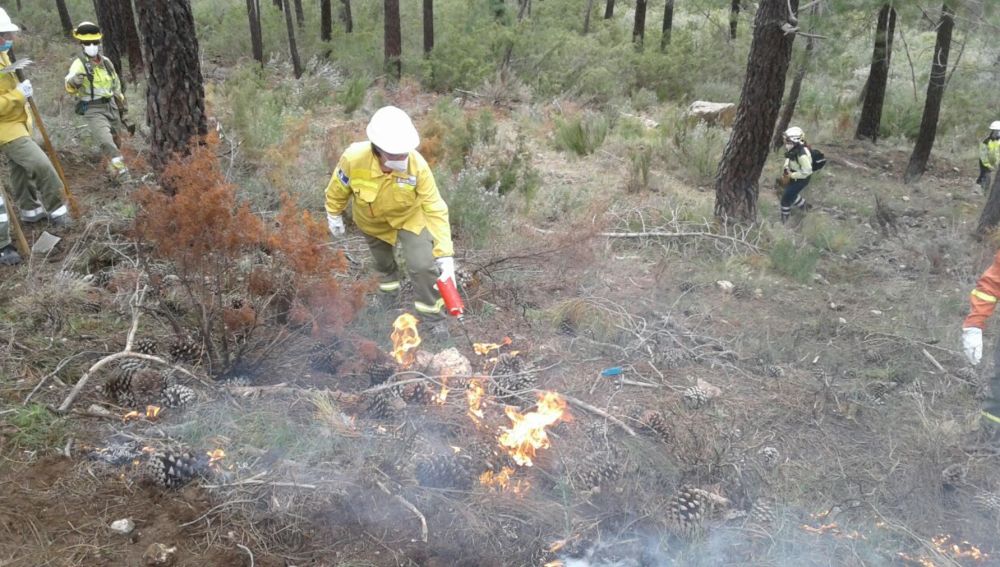 Formación universitaria para luchar contra los incendios