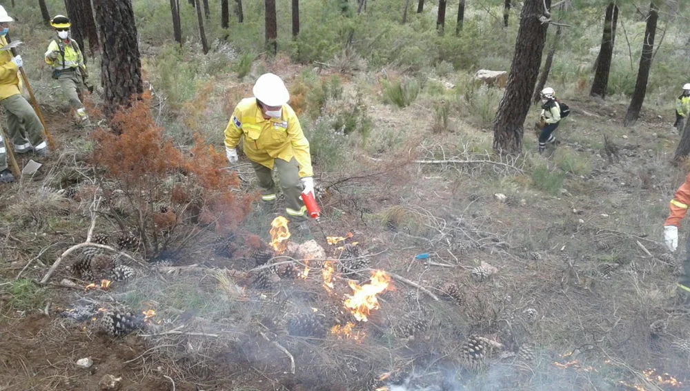 Formación universitaria para luchar contra los incendios Formación universitaria para luchar contra los incendios