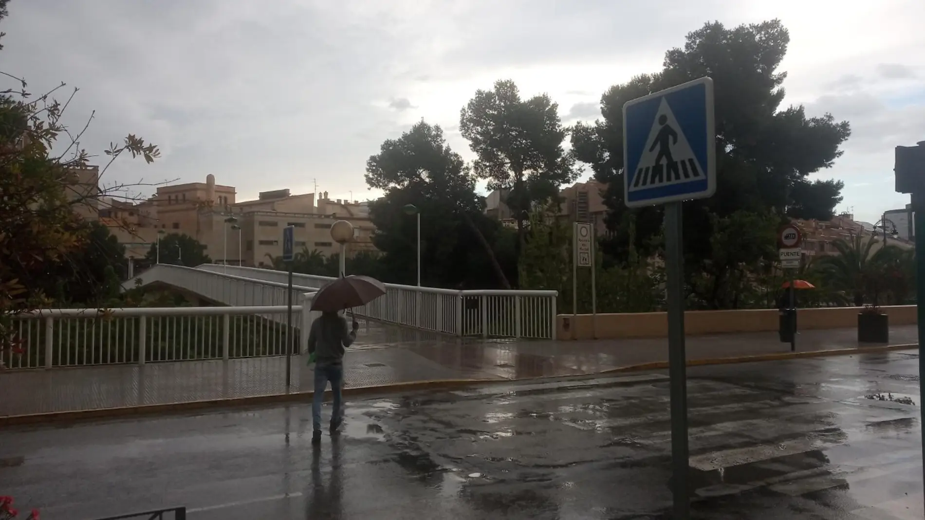 Ciudadano con paraguas en Elche.