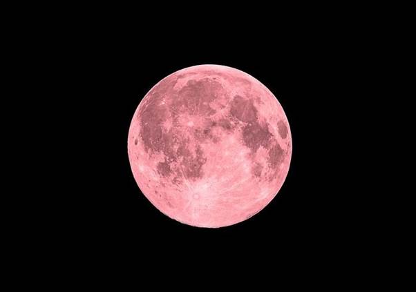 Este fenómeno estará acompañado por la presencia de la lluvia de estrellas líridas si la meteorología lo permite Este fenómeno estará acompañado por la presencia de la lluvia de estrellas líridas si la meteorología lo permite