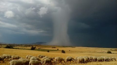 Foto ganadora de Concurso Cinco Villas