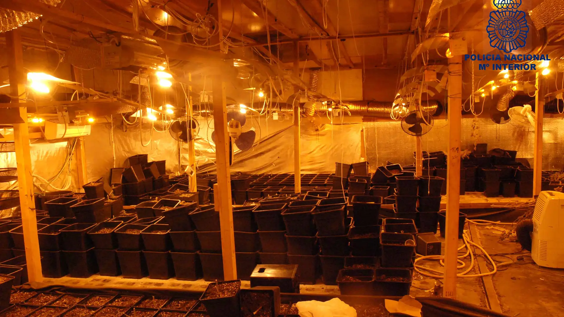 Imagen del mayor centro de cultivo de marihuana de la ciudad de Cuenca desmantelado en abril de este año 