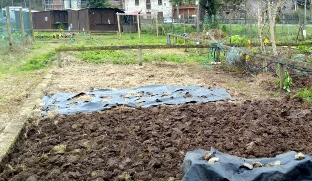 Sigue abierto el plazo de inscripciones para la adjudicación de 3 huertos urbanos Sigue abierto el plazo de inscripciones para la adjudicación de 3 huertos urbanos